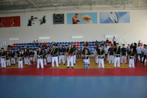IMG_41426783725306